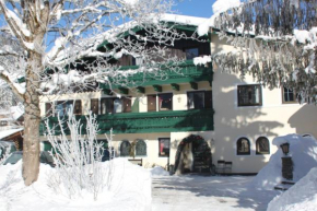 Mühlradl Apartments Gosau
